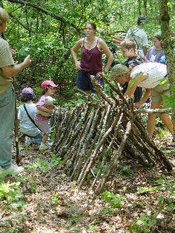 debris hut construction