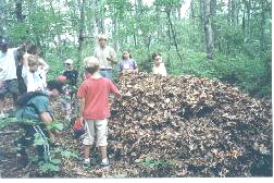 Piling on the leaves