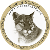 Earth School Logo
