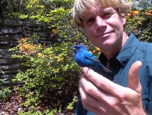 Richard with Indigo Bunting